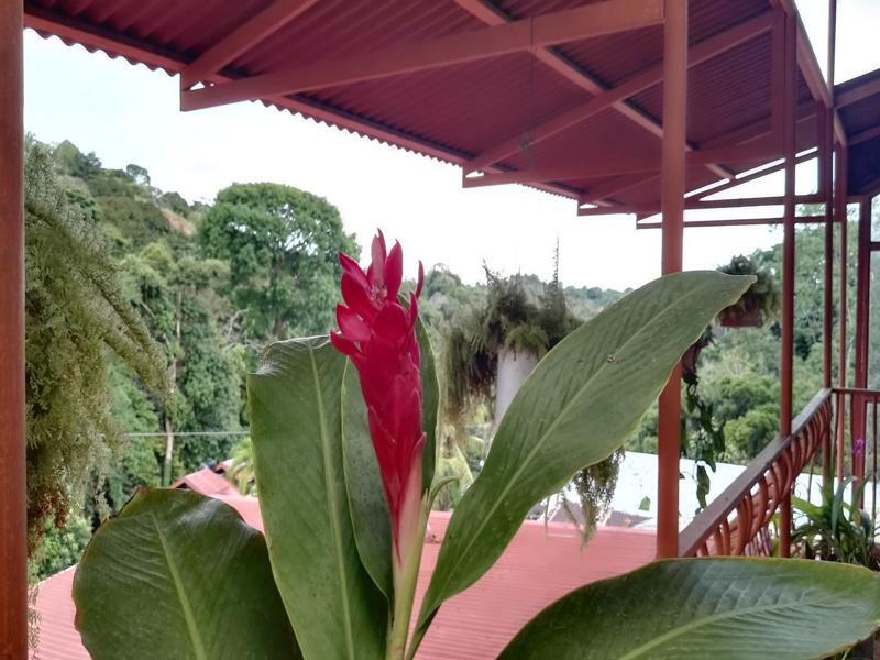 Natural Pacific Suites Manuel Antonio Zewnętrze zdjęcie