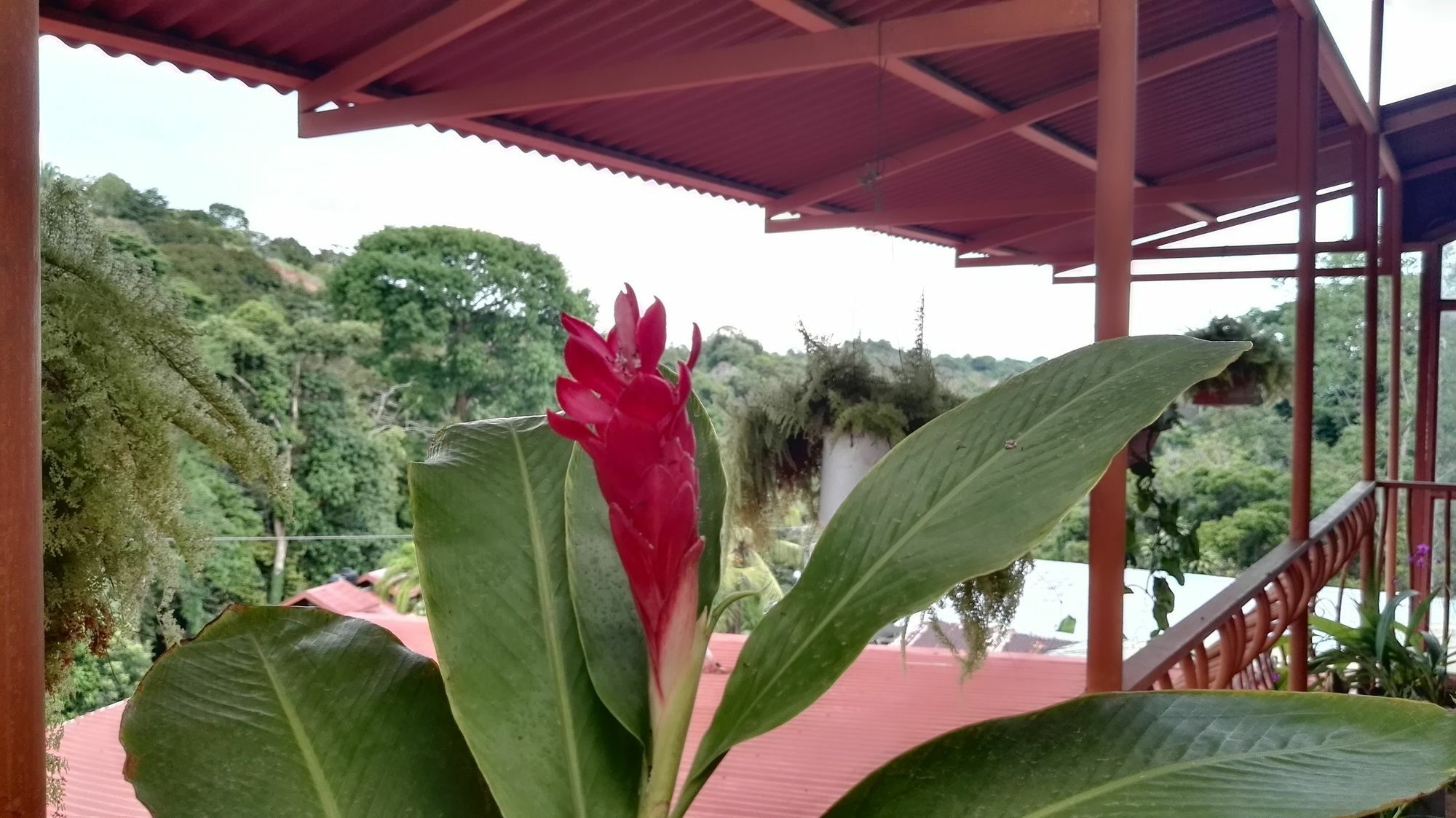 Natural Pacific Suites Manuel Antonio Zewnętrze zdjęcie
