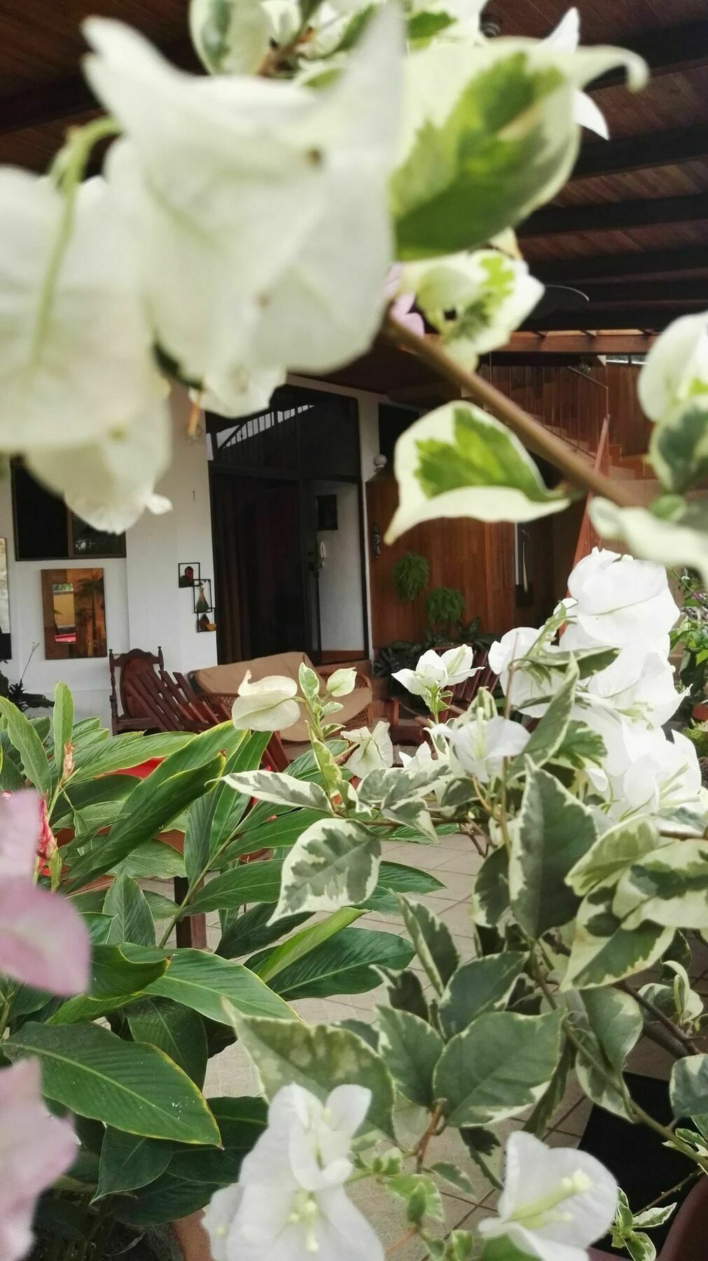 Natural Pacific Suites Manuel Antonio Zewnętrze zdjęcie